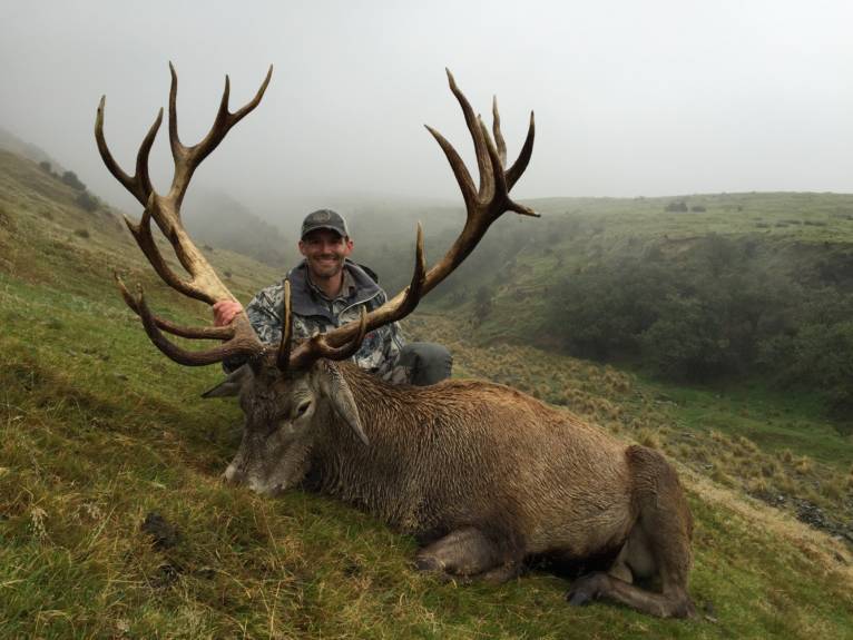 Hunting Red Stag 350-380 Inches in New Zealand - Red Stag (Cervus ...