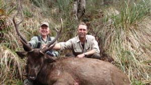 Sambar Deer Hunting