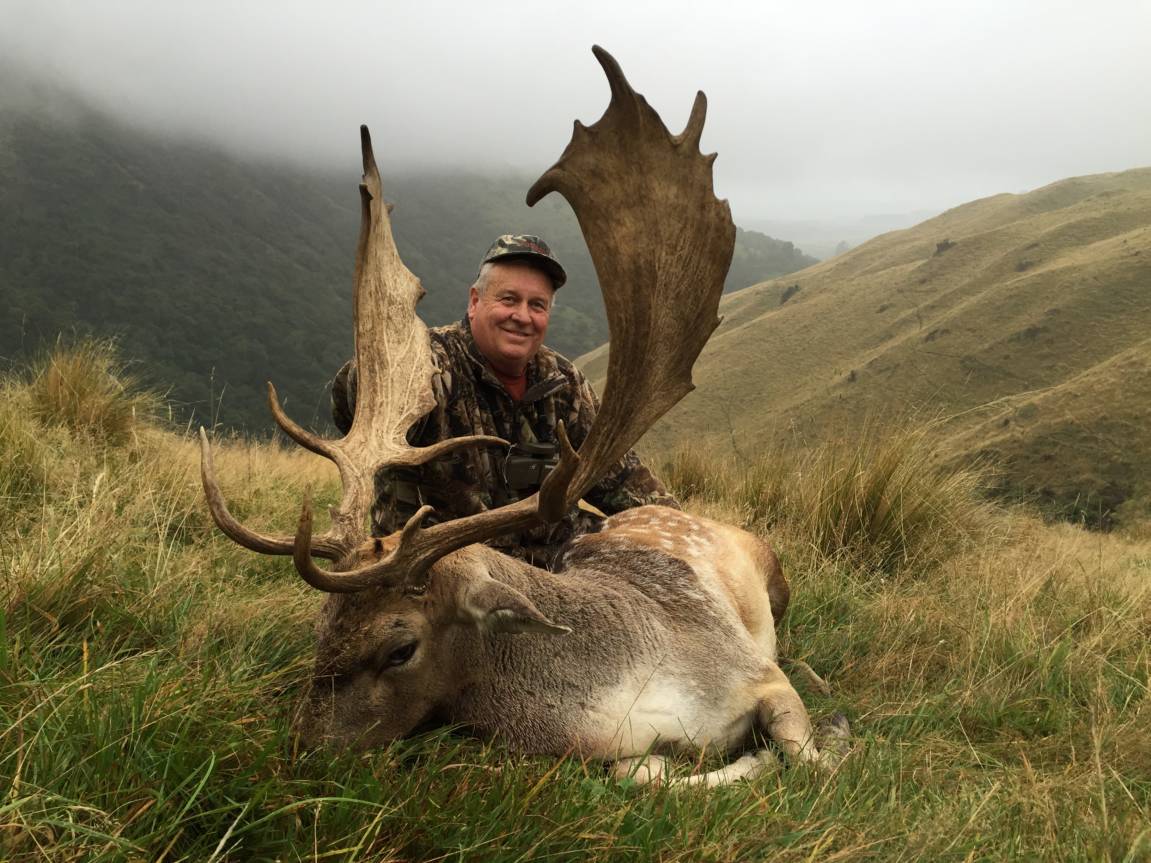 Hunt Fallow Deer - Trophy Hunting Big Game - Hunt Deer Species New Zealand