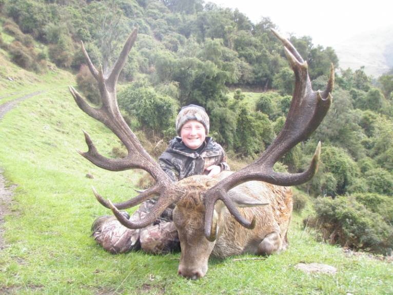 Hunting Red Stag 300-350 Inches In New Zealand - Red Stag (cervus 