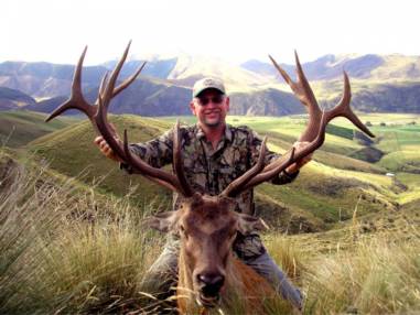 Hunting Red Stag 300-350 Inches in New Zealand - Red Stag (Cervus ...