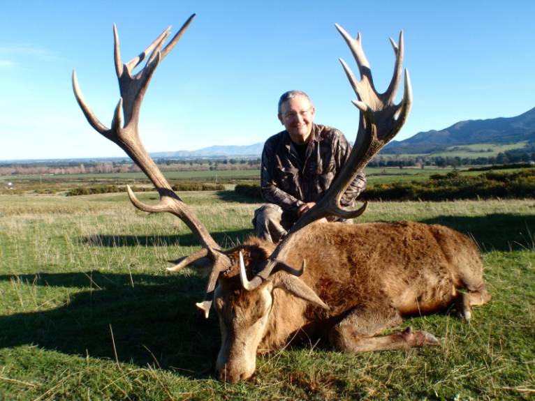 Hunting Red Stag 300-350 Inches in New Zealand - Red Stag (Cervus ...