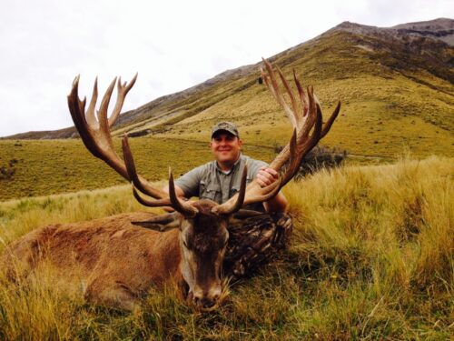 red-stag-390-420-inches-00008 : Four Seasons Safaris New Zealand