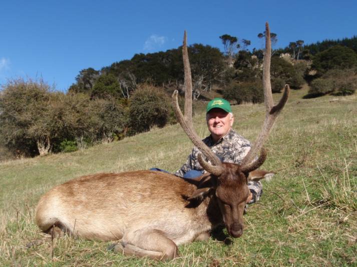 Hunt Rusa Deer - Trophy Hunting Big Game Animals - New Zealand Safaris ...