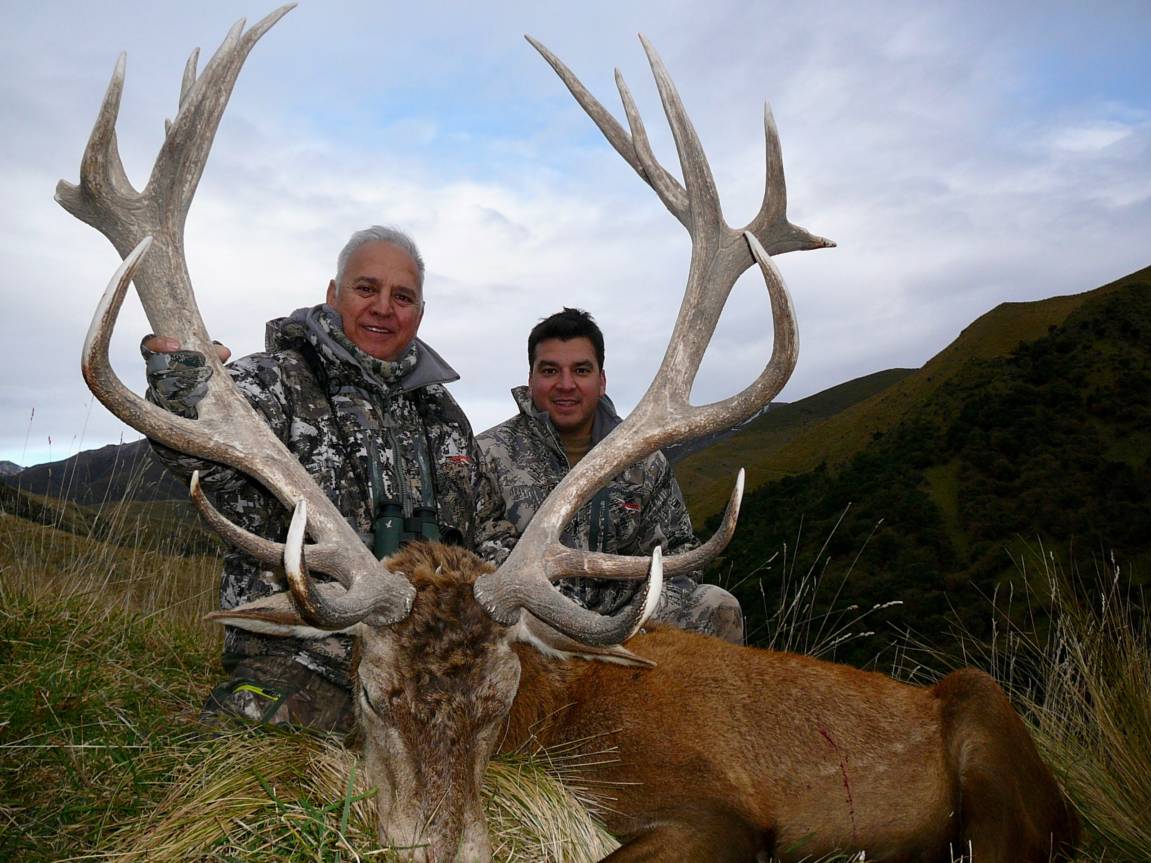 Hunting Red Stag 300-350 Inches in New Zealand - Red Stag (Cervus ...